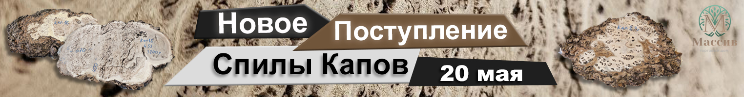 Акция