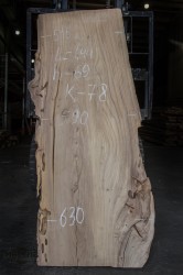 Слэб из дерева: Карагач Кавказский. Длина: 1440мм. Ширина: 515-630мм. Толщина: 69мм